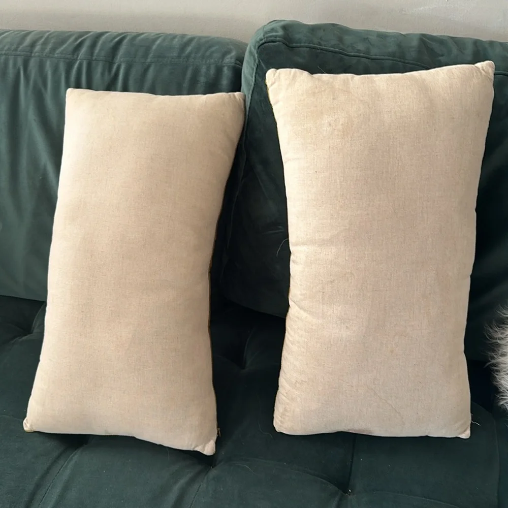 west elm Lush Velvet Lumbar Pillow Covers lot of two
